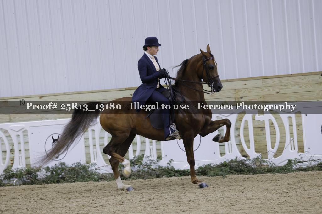 Proof Number 25R13_13180