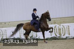 25R13_13180 thumbnail