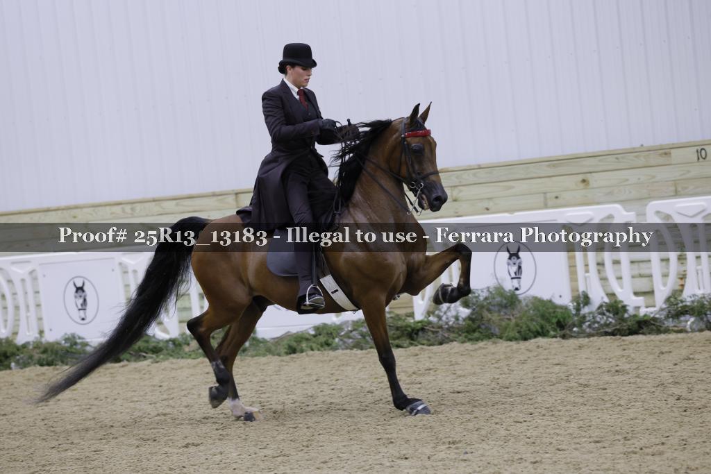 Proof Number 25R13_13183