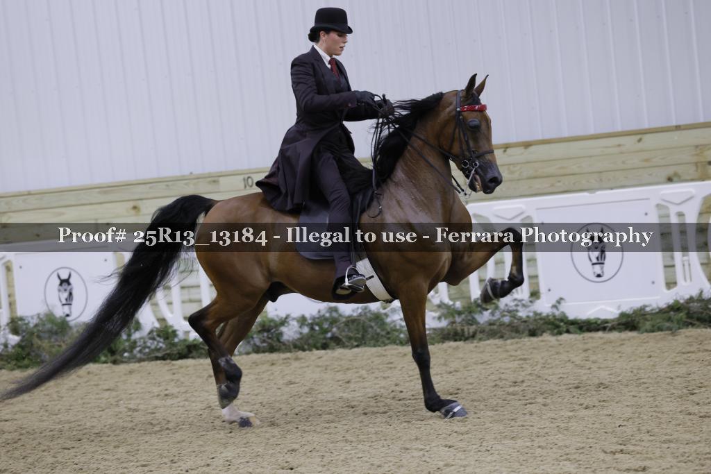 Proof Number 25R13_13184