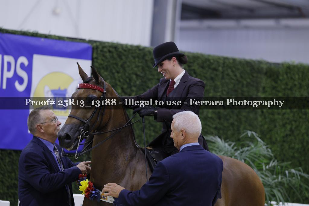 Proof Number 25R13_13188