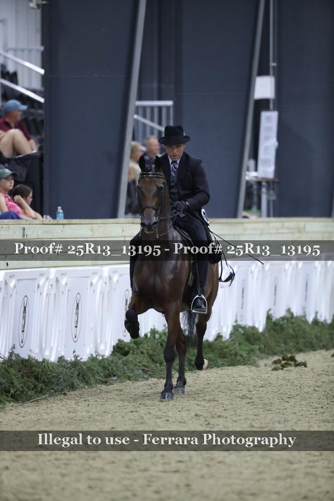Proof Number 25R13_13195