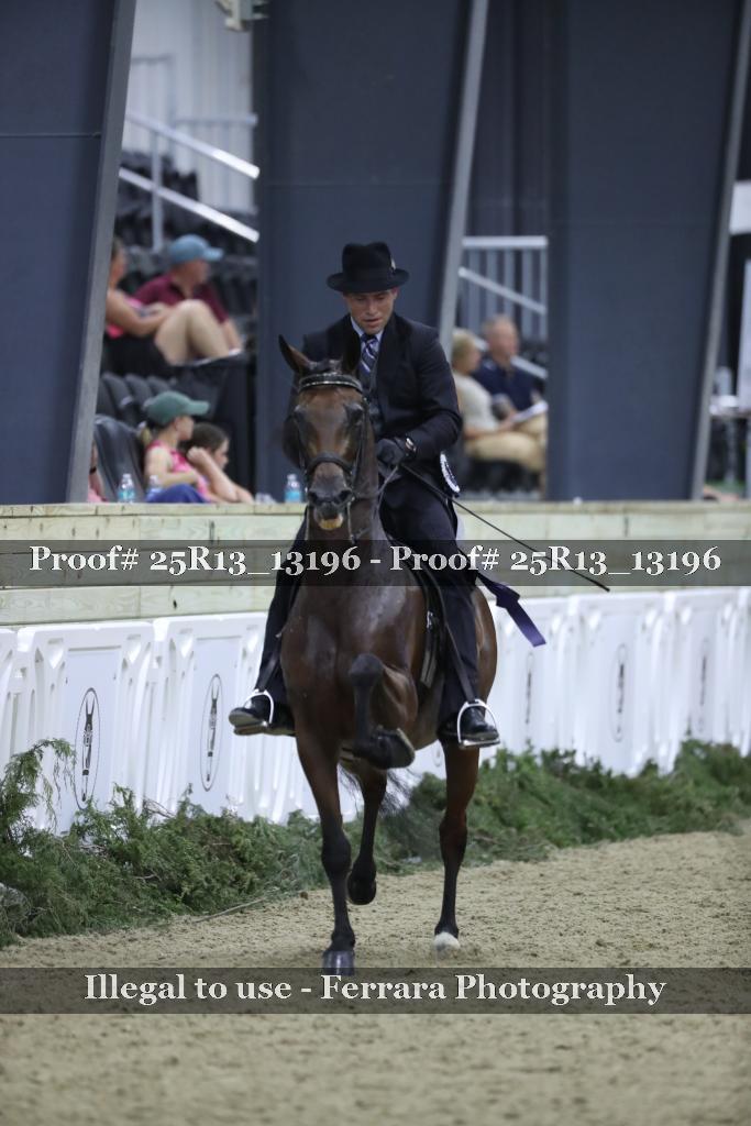 Proof Number 25R13_13196
