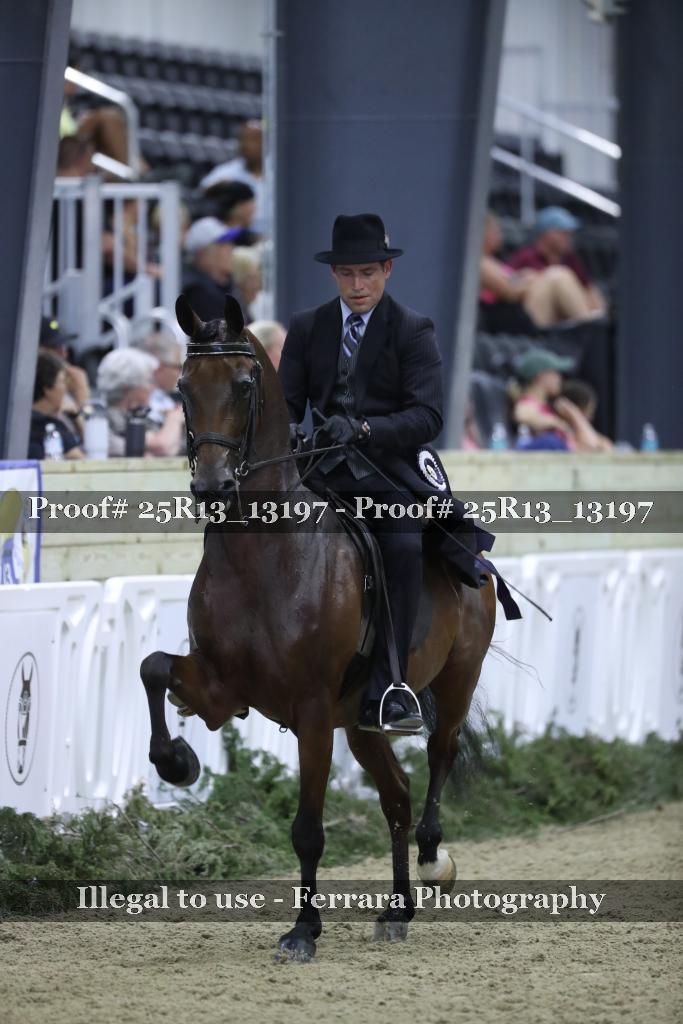 Proof Number 25R13_13197