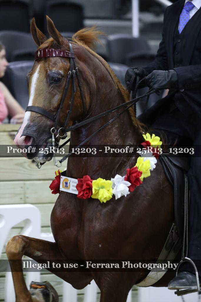 Proof Number 25R13_13203