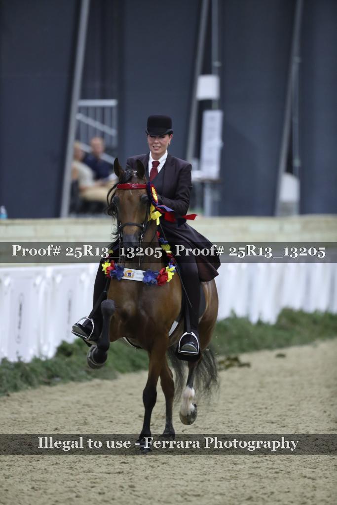 Proof Number 25R13_13205
