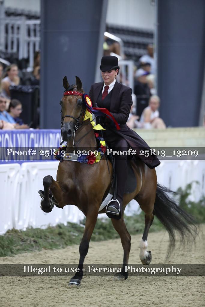 Proof Number 25R13_13209