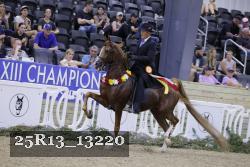 25R13_13220 thumbnail