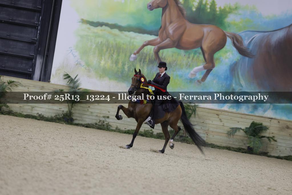 Proof Number 25R13_13224