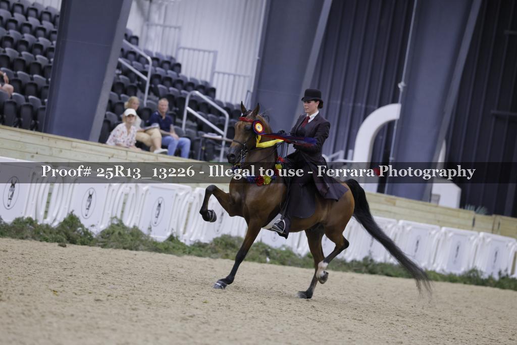 Proof Number 25R13_13226