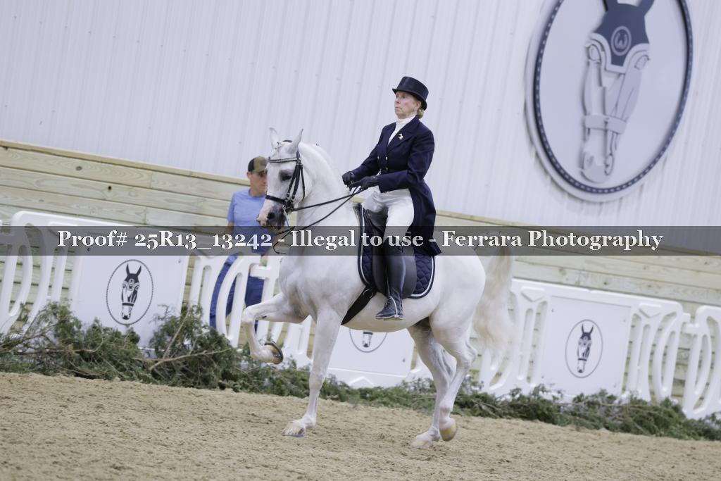 Proof Number 25R13_13242