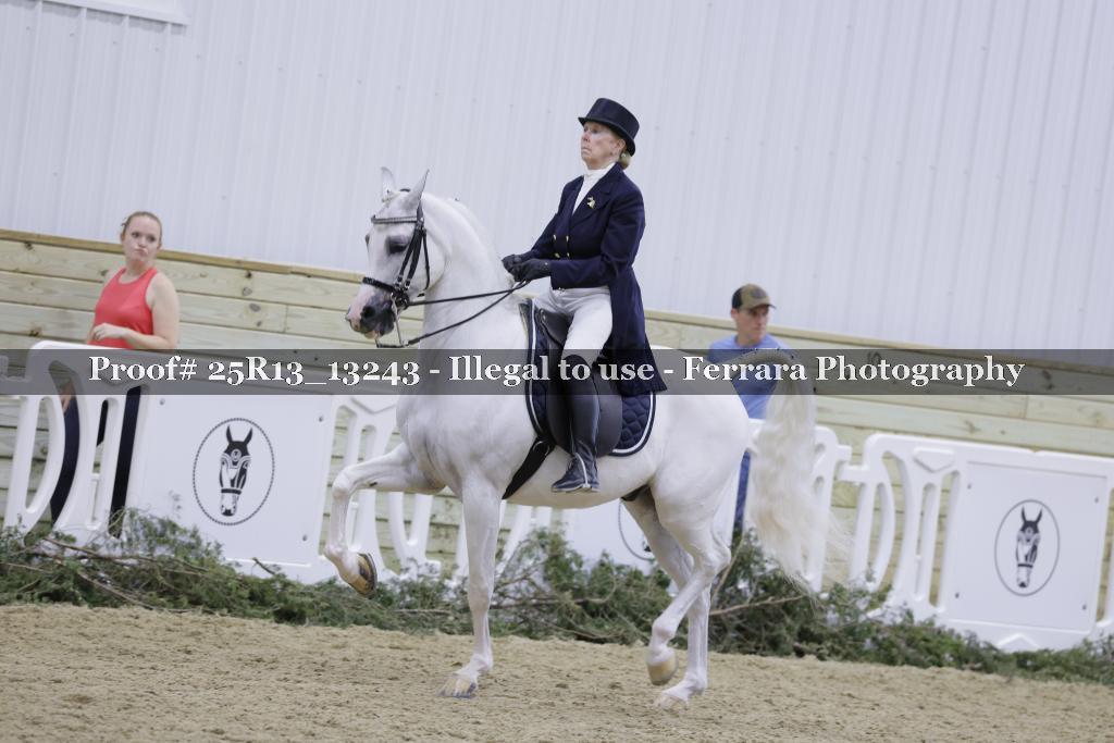 Proof Number 25R13_13243