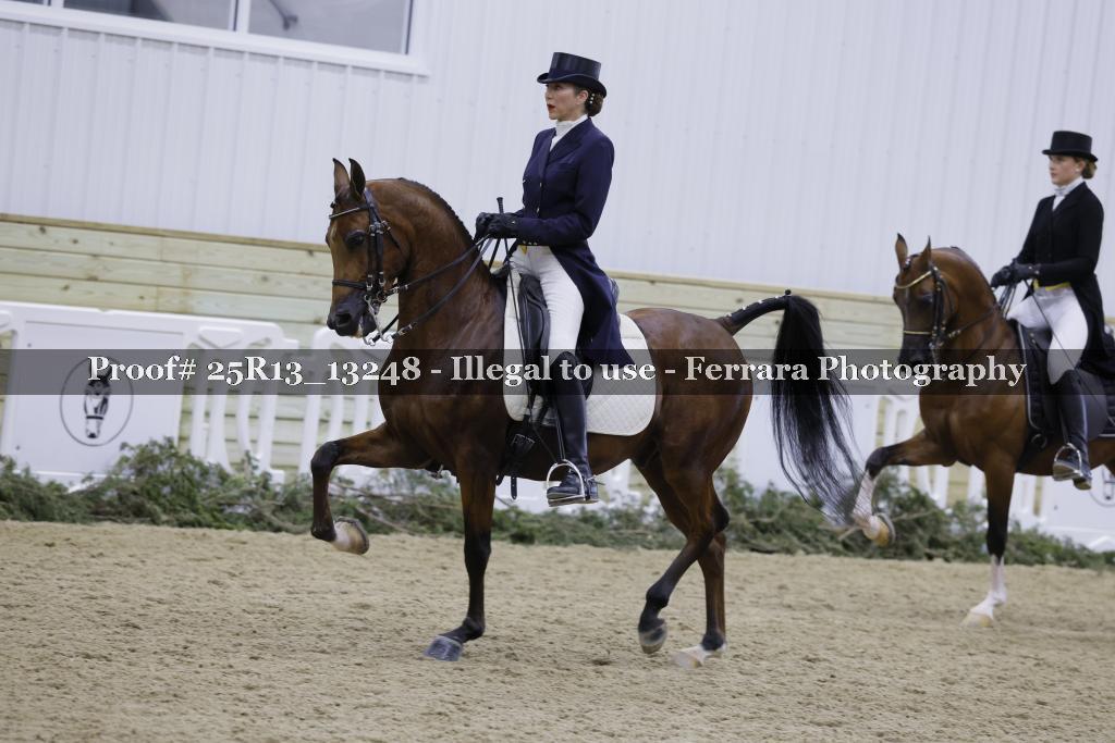 Proof Number 25R13_13248