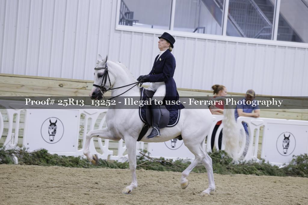 Proof Number 25R13_13252