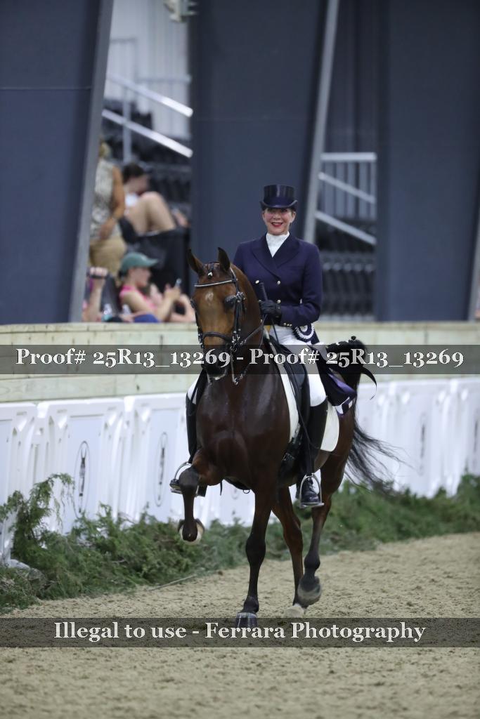 Proof Number 25R13_13269