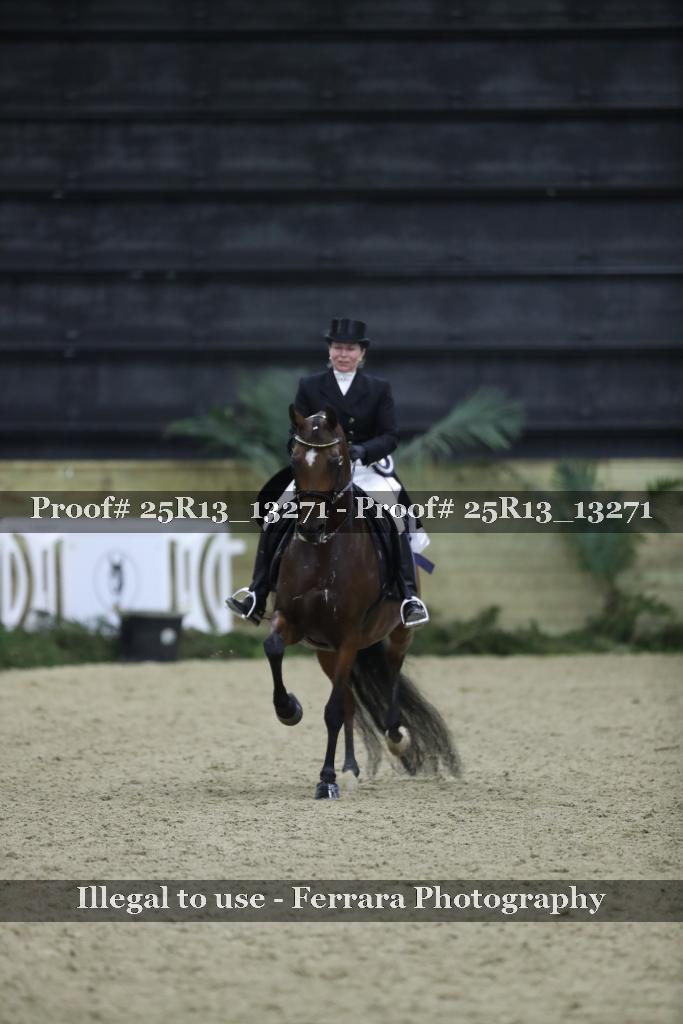 Proof Number 25R13_13271