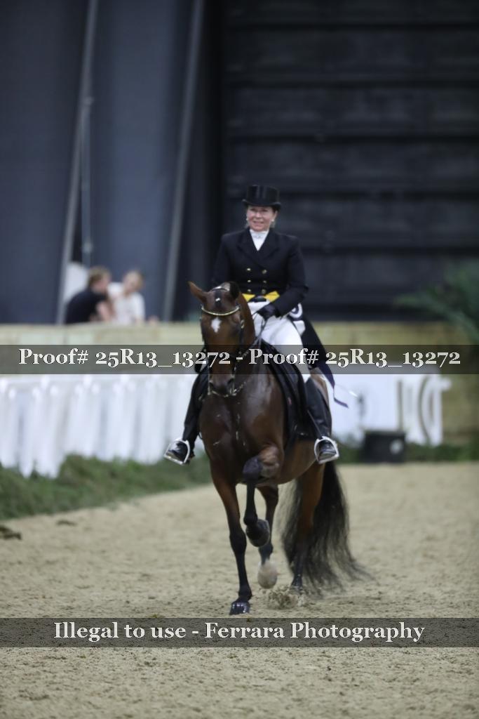 Proof Number 25R13_13272