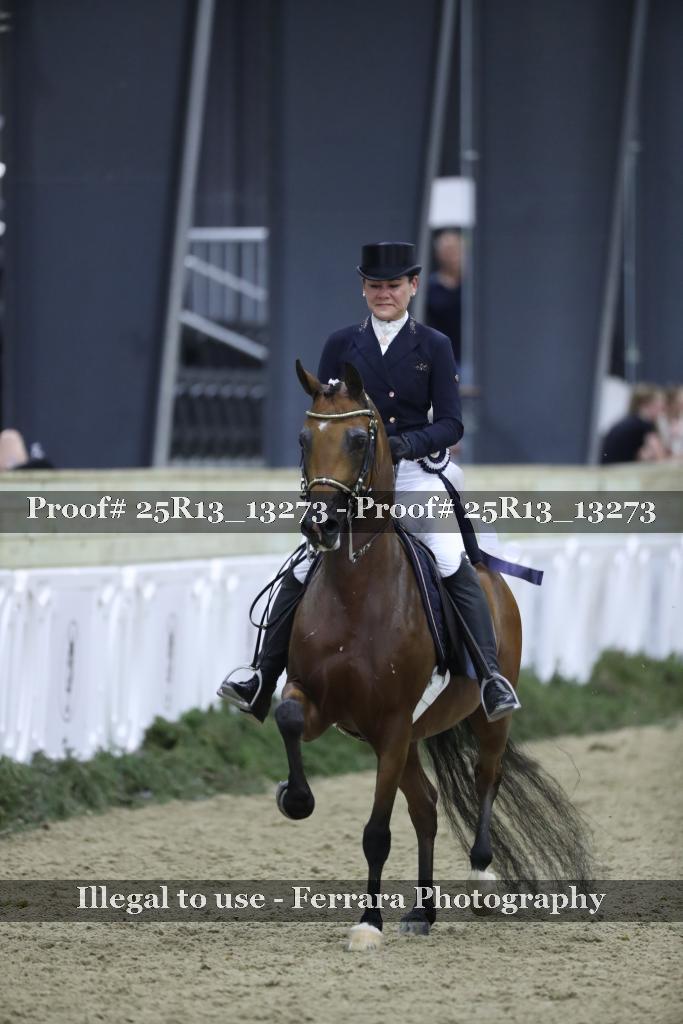 Proof Number 25R13_13273
