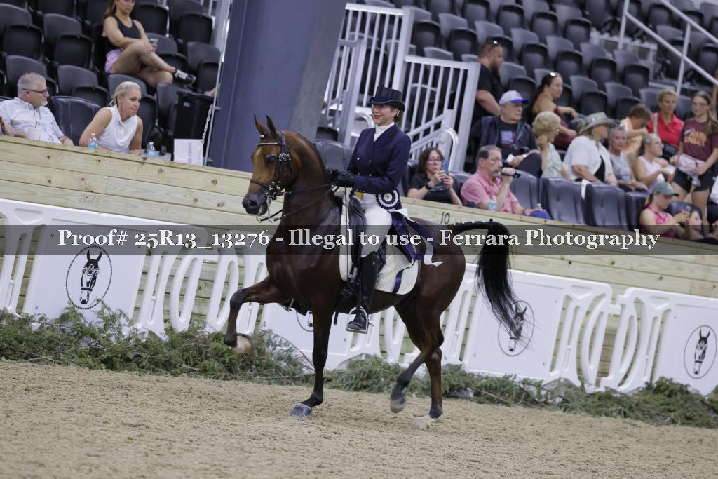 Proof Number 25R13_13276