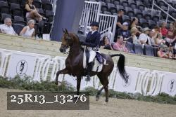 25R13_13276 thumbnail