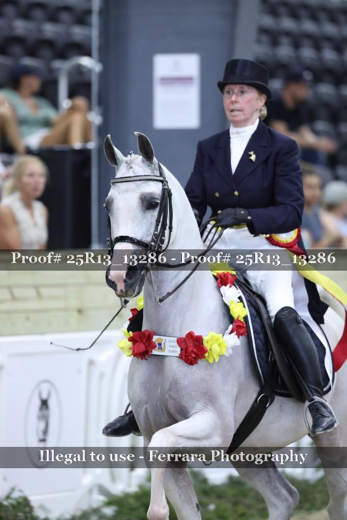 Proof Number 25R13_13286