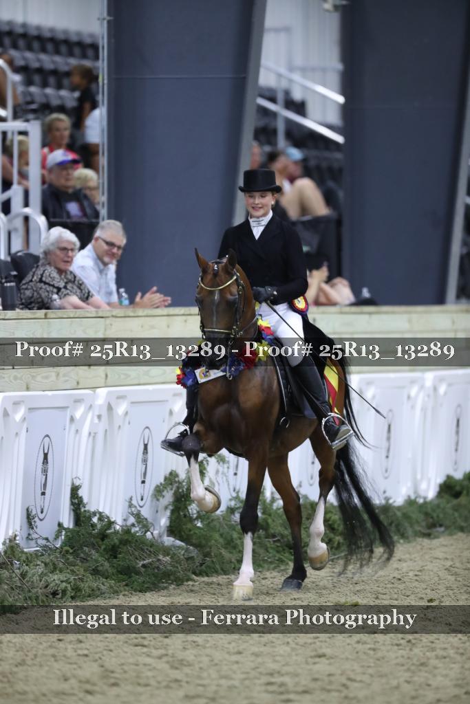Proof Number 25R13_13289