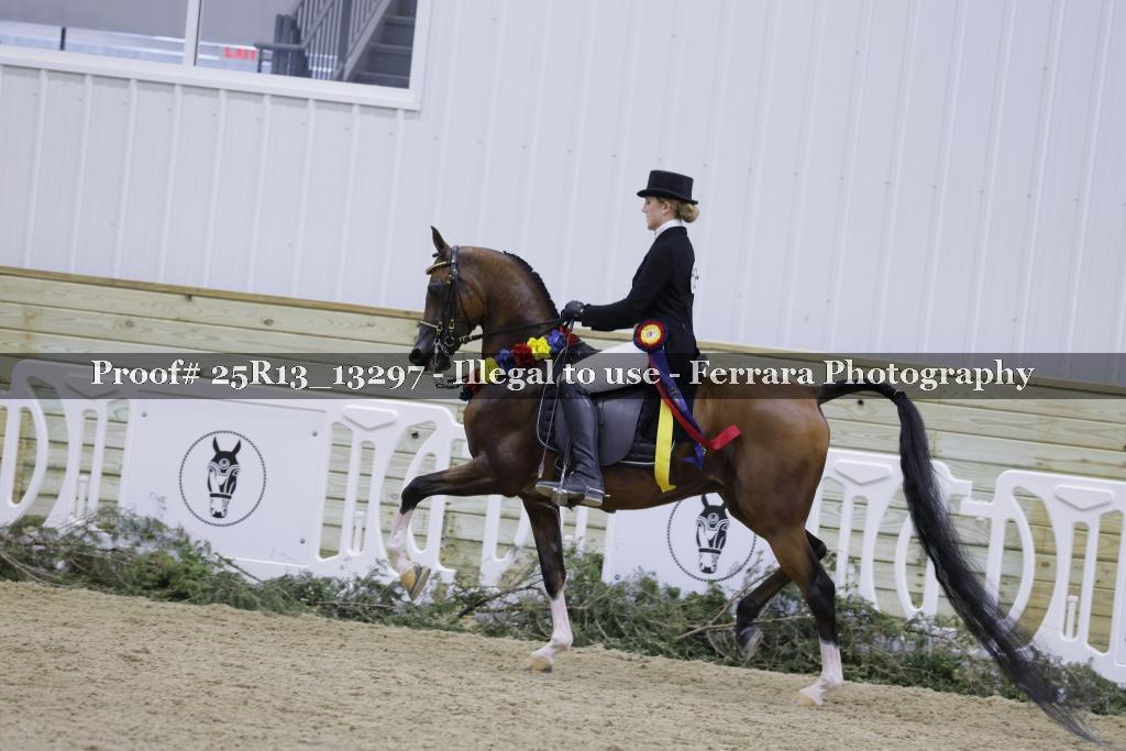 Proof Number 25R13_13297