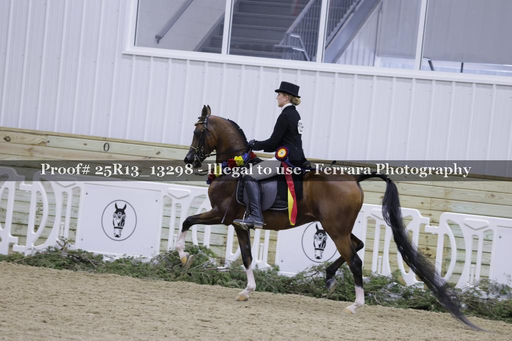 Proof Number 25R13_13298