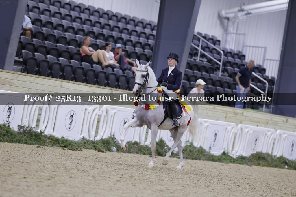 Proof Number 25R13_13301