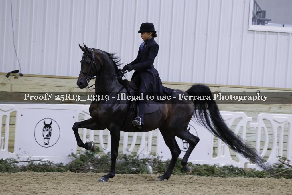 Proof Number 25R13_13319