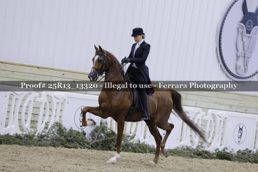 Proof Number 25R13_13320