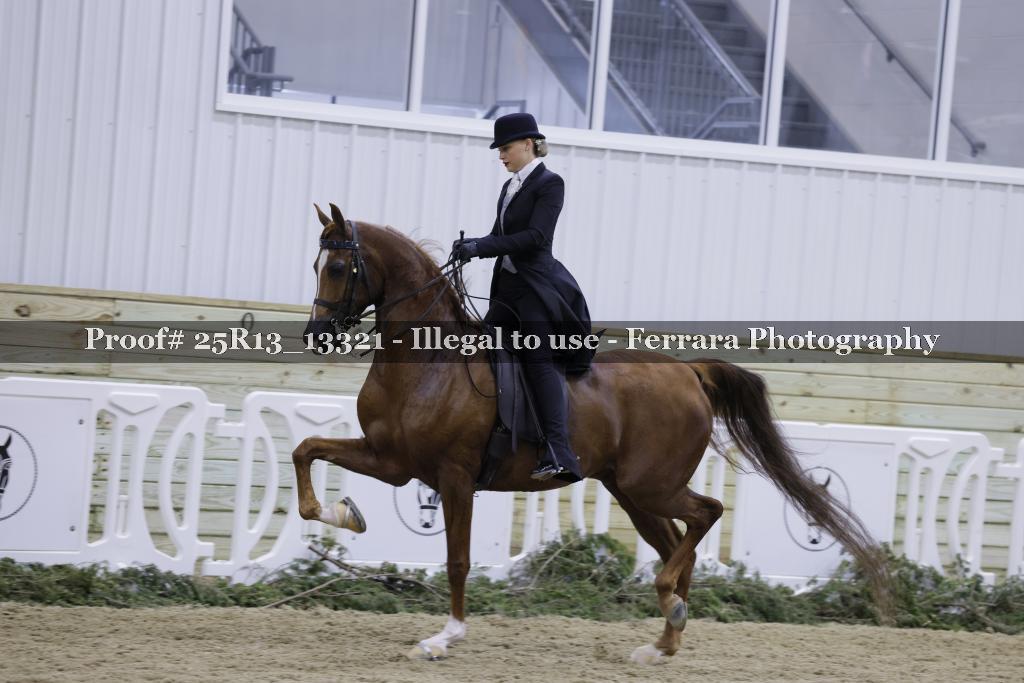 Proof Number 25R13_13321