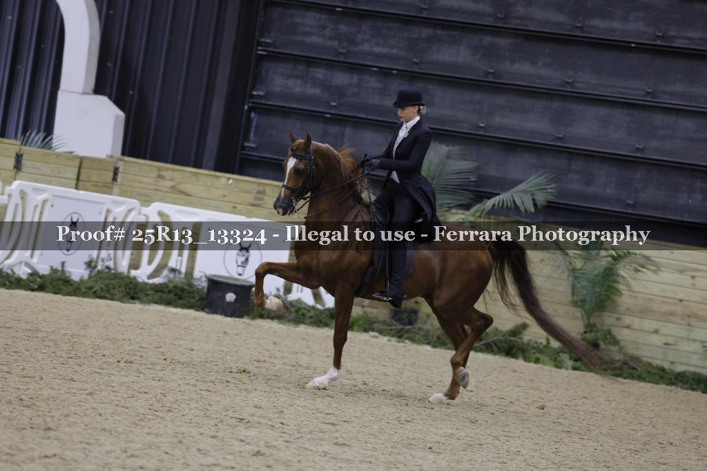 Proof Number 25R13_13324