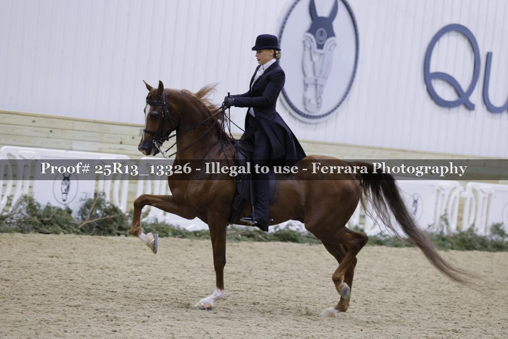 Proof Number 25R13_13326