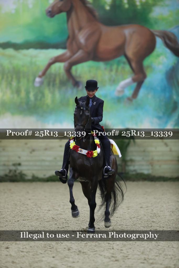 Proof Number 25R13_13339
