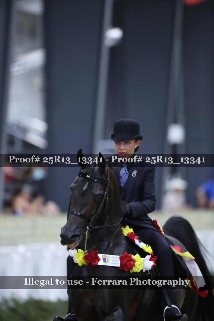 Proof Number 25R13_13341