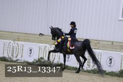25R13_13347 thumbnail