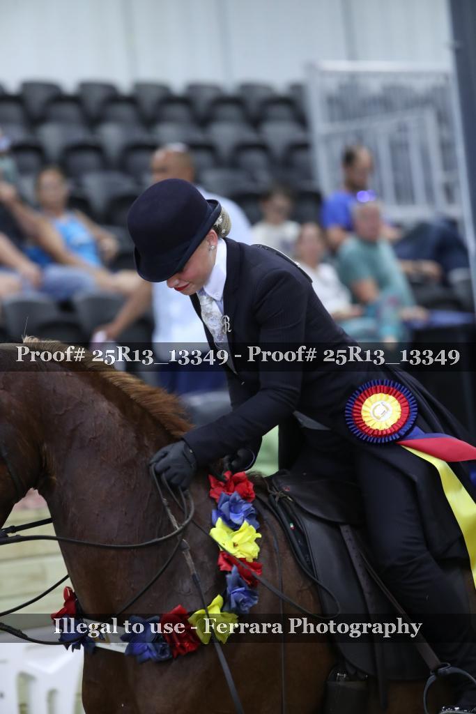 Proof Number 25R13_13349