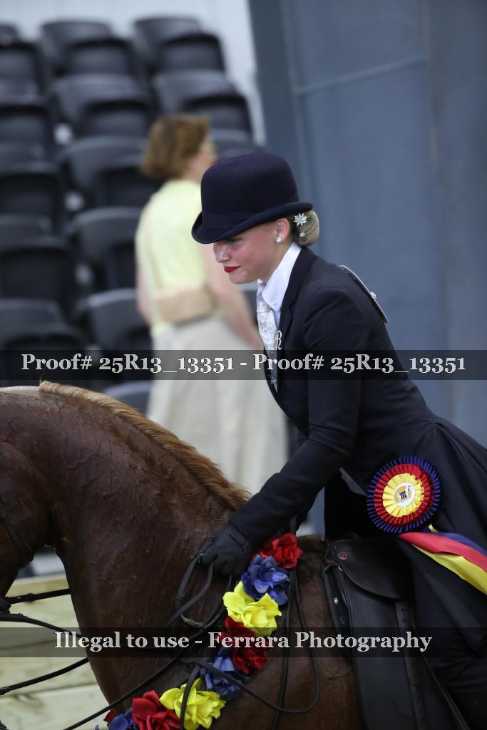 Proof Number 25R13_13351