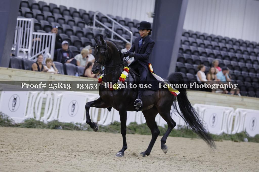 Proof Number 25R13_13353