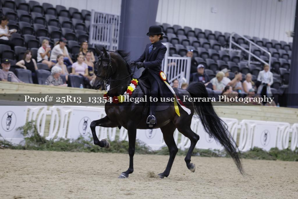 Proof Number 25R13_13354