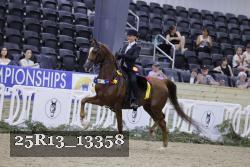 25R13_13358 thumbnail