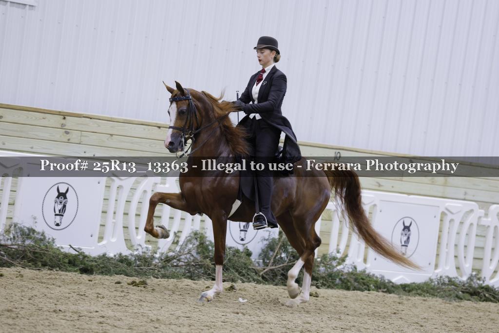 Proof Number 25R13_13363