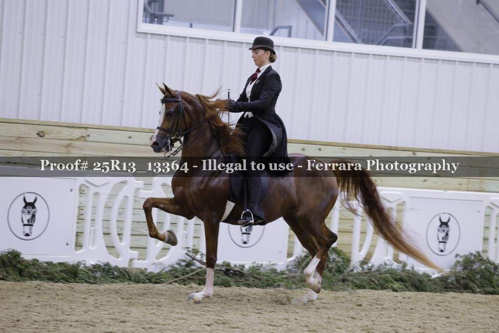 Proof Number 25R13_13364