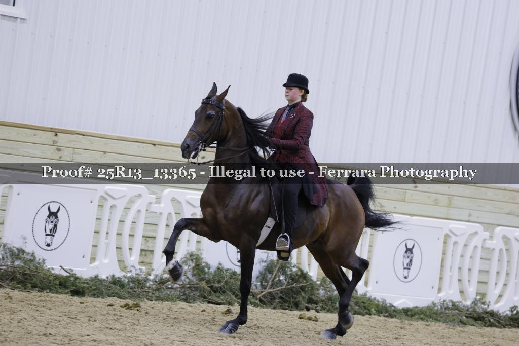 Proof Number 25R13_13365