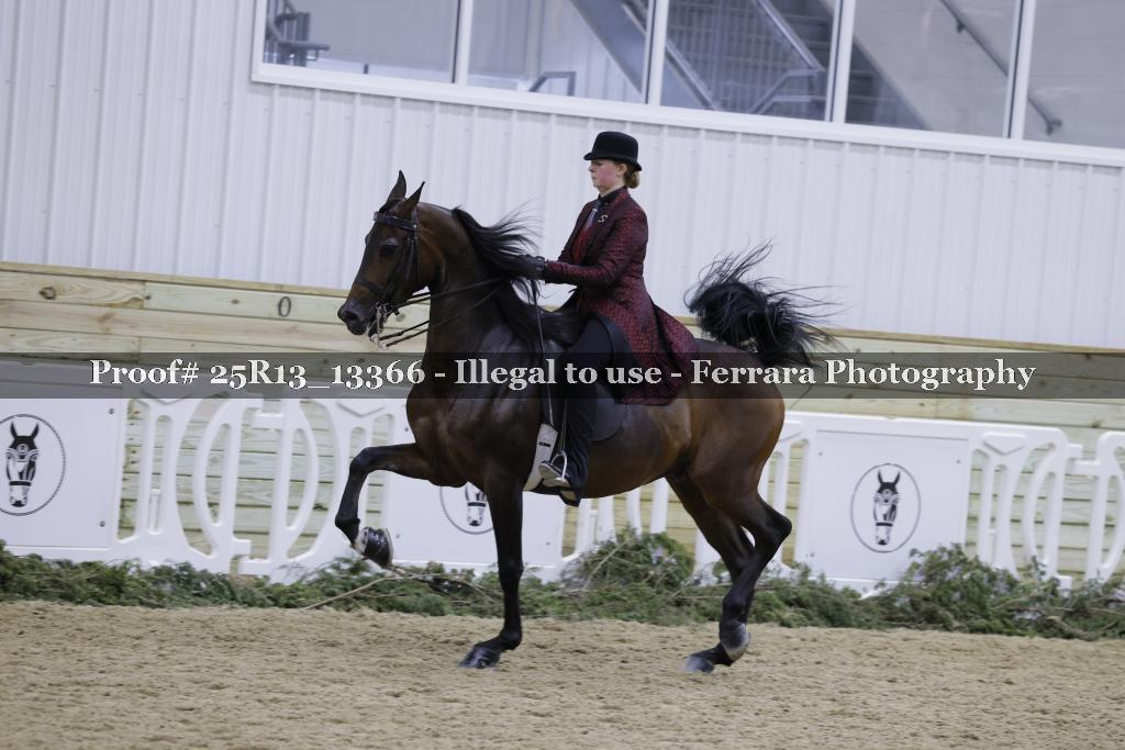 Proof Number 25R13_13366