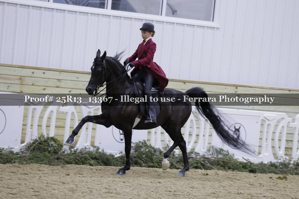 Proof Number 25R13_13367