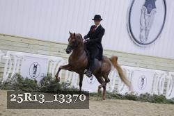 25R13_13370 thumbnail