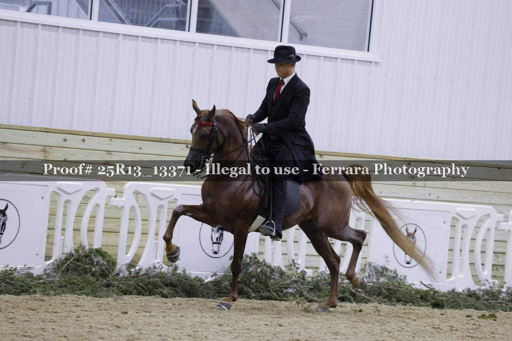 Proof Number 25R13_13371