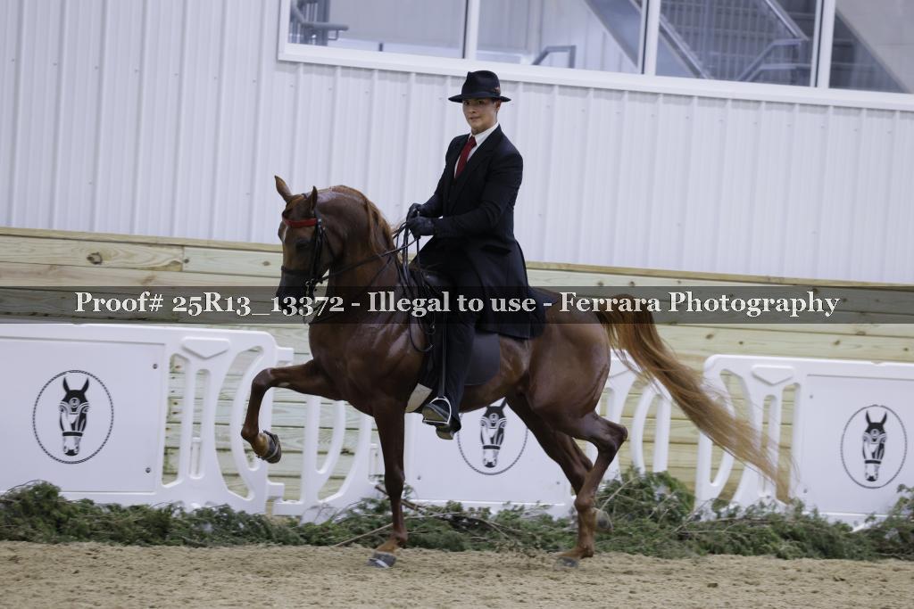 Proof Number 25R13_13372